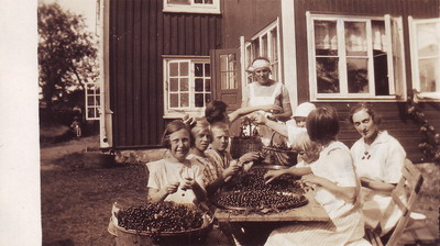 Bärrensning på Klastorps kollo på 30-talet